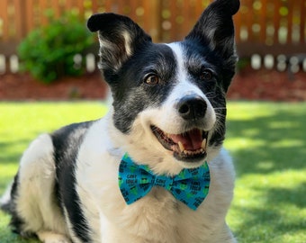 Can't Touch This Dog Bowtie / Dog Bow Ties