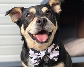 Halloween Dog Bowtie / Bat Dog Bow Tie / Dog  Bowties