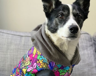 staffy hoodies for dogs