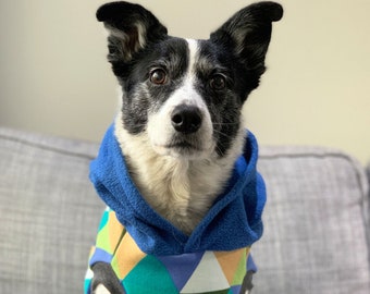 Equilateral Dog Hoodie / Fleece Dog hoodies / Blue Dog Hoodie