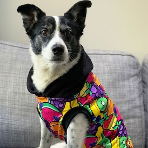 Australian made dog jumpers clearance