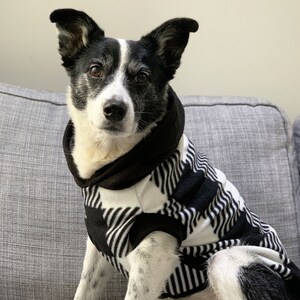 Adidas dogs clearance