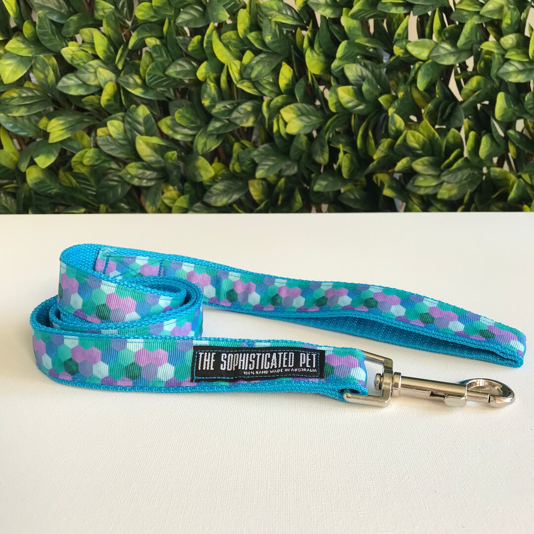 Aqua Buzz Dog Lead / Blue Dog Leash / Aqua Dog Leads Etsy Australia