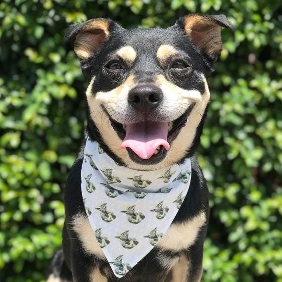 star wars dog bandana