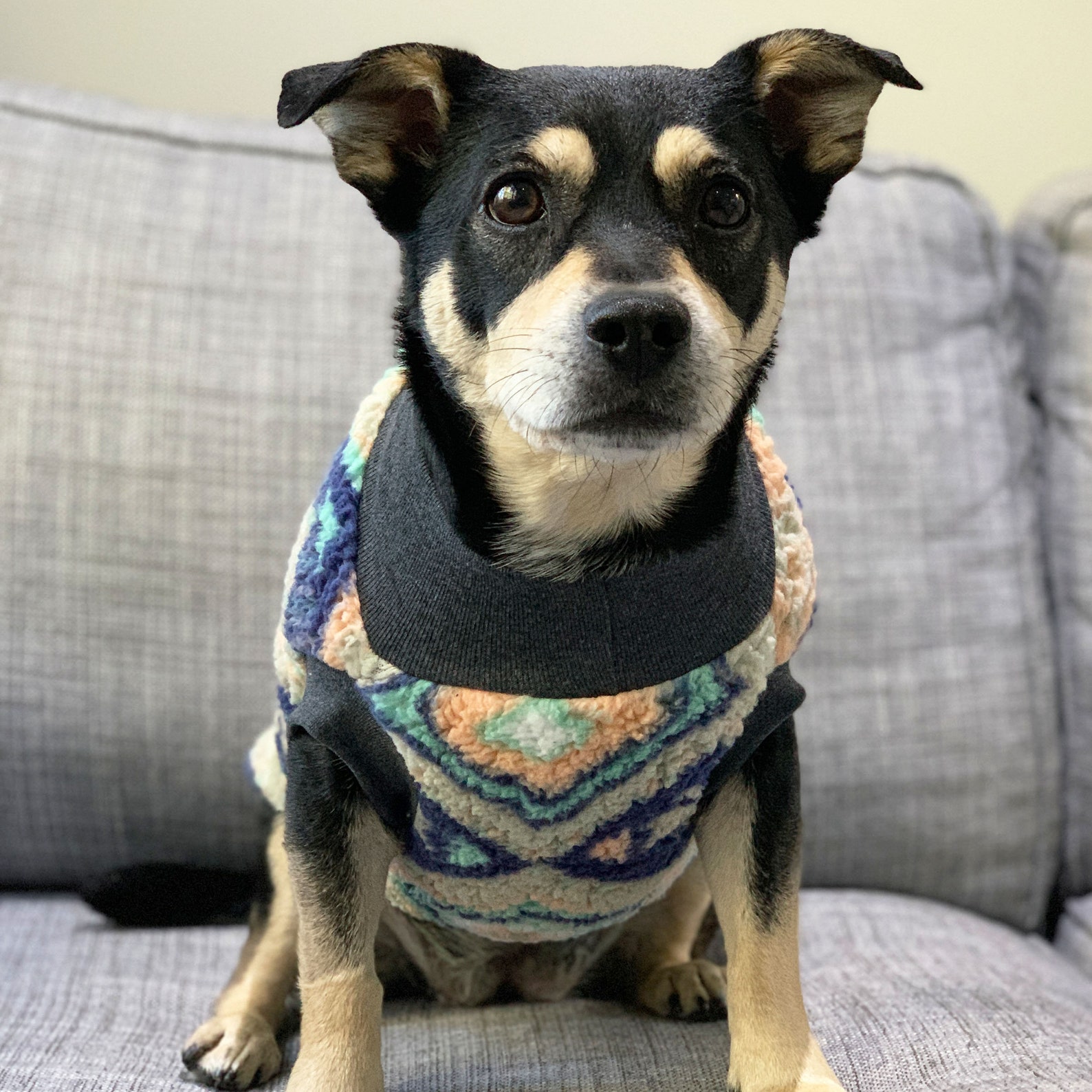 Machu Picchu Dog Turtleneck / Turtlenecks For Dogs | Etsy