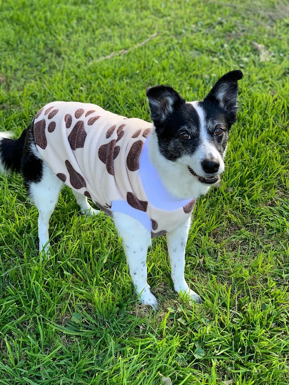 turtle necks for dogs