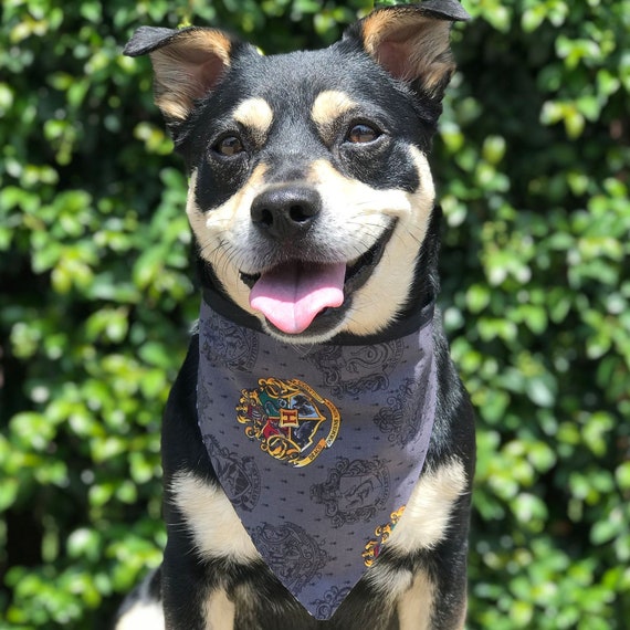 harry potter bandanas