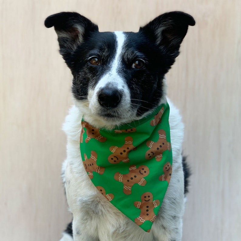 pet christmas bandanas