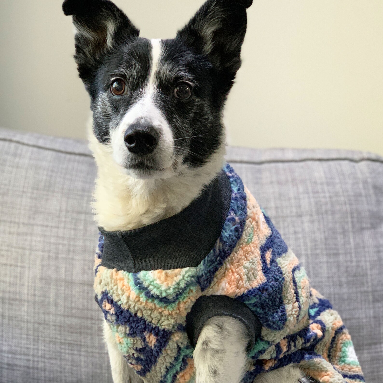 Machu Picchu Dog Turtleneck / Turtlenecks For Dogs | Etsy