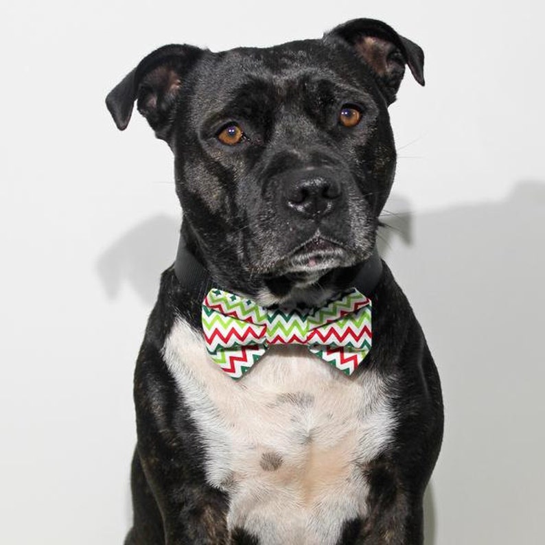Dog Bow-Tie Dog Bow Tie Dog Bowties Christmas Bow-tie For Dogs Naughty Or Nice
