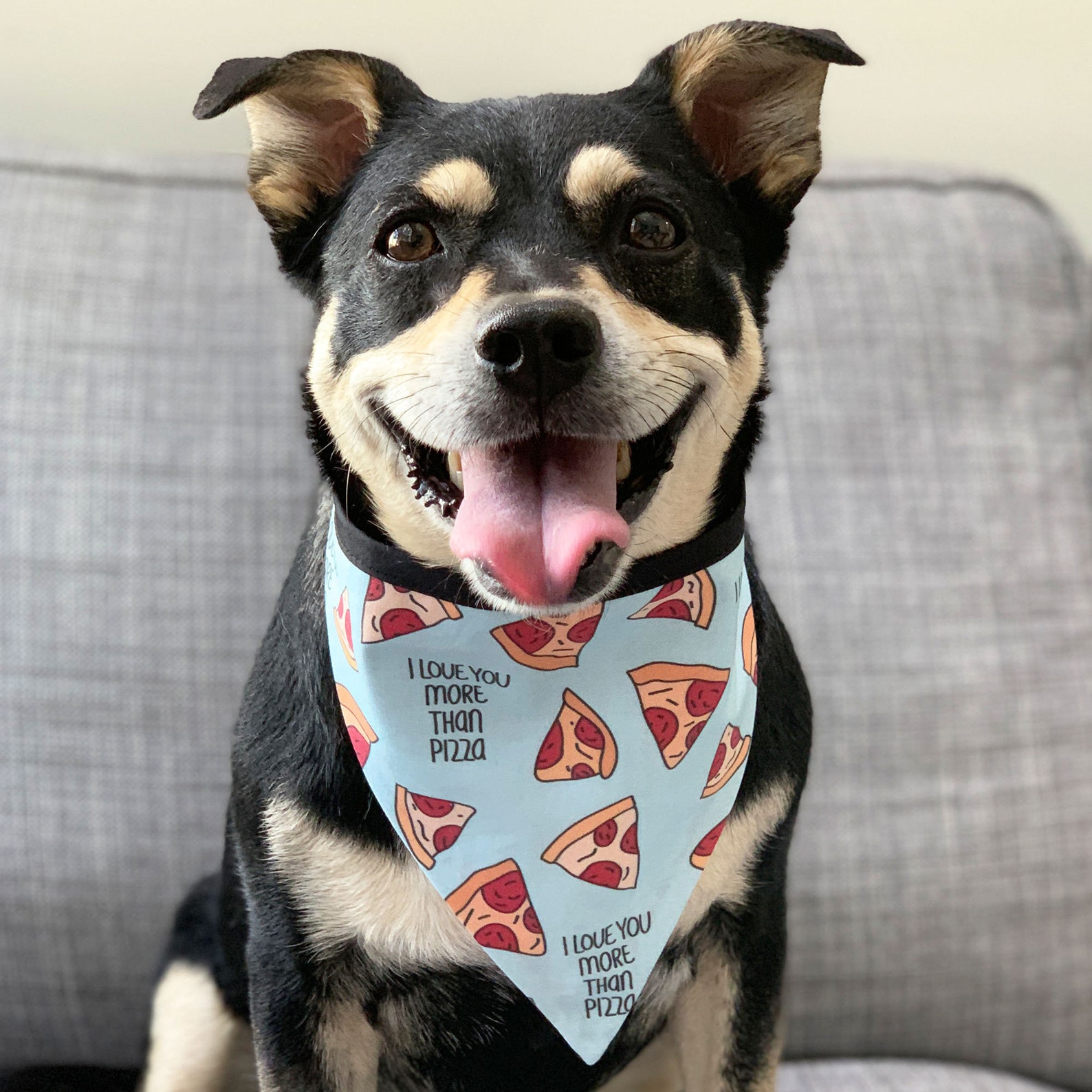 Ich liebe dich mehr als Pizza Hund Bandana / Pizza Bandana für Etsy