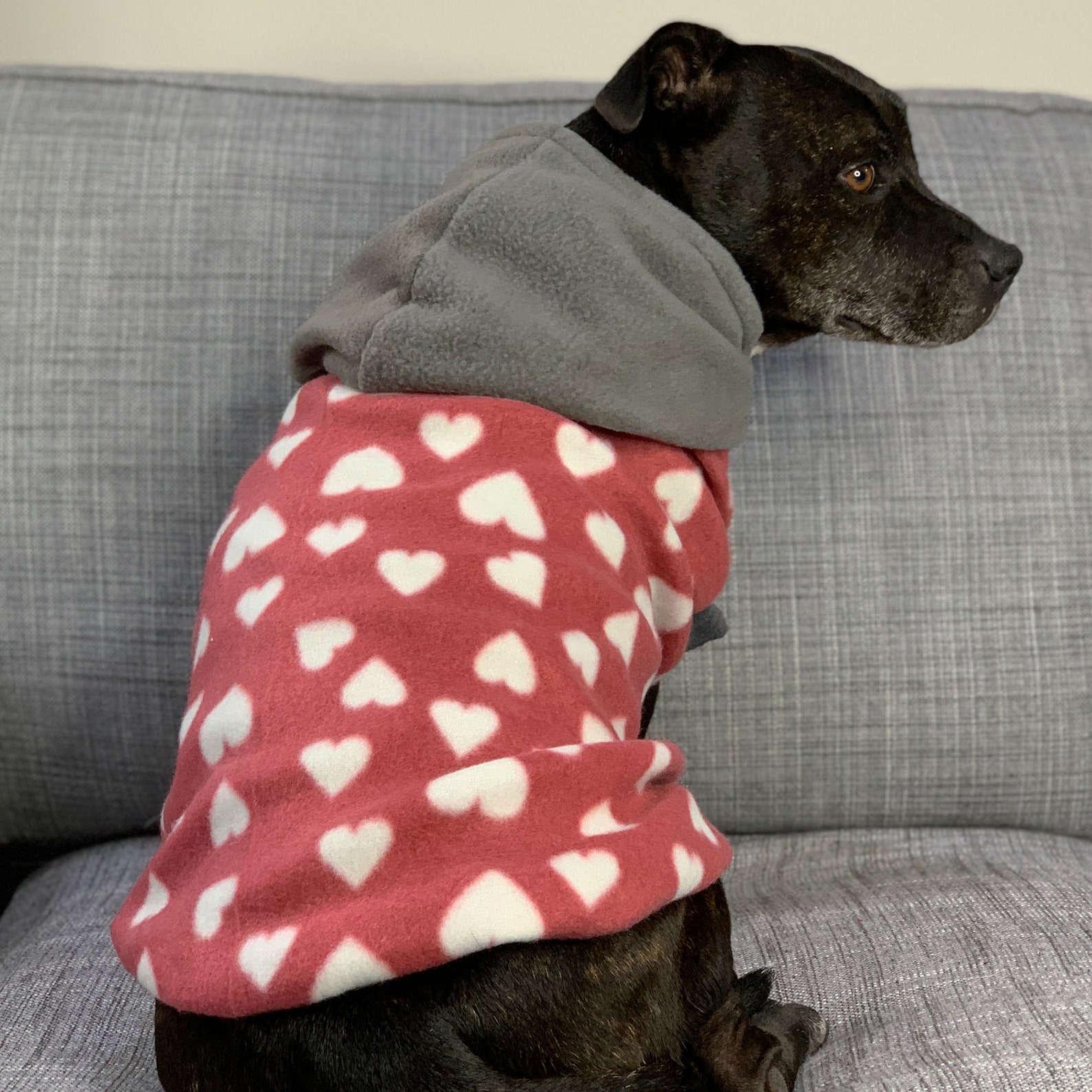 Love Bug Dog Hoodie / Fleece Dog Hoodie / Winder Dog Jacket Etsy