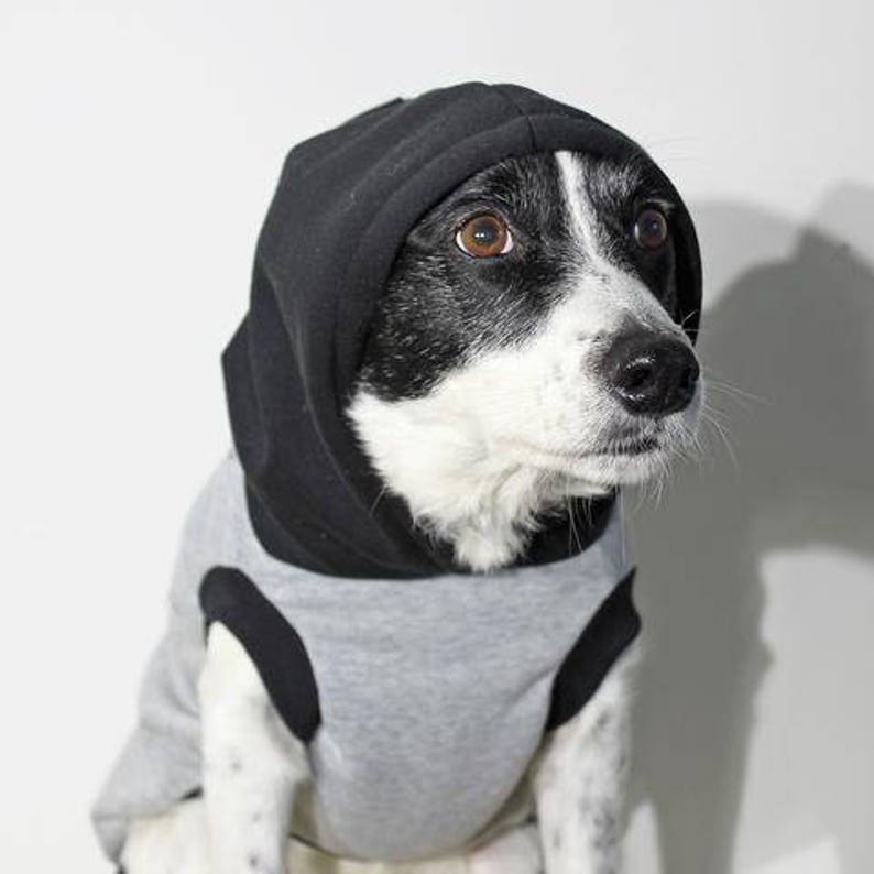 Rocky Hund Hoodie / grau Fleece Hund Hoodie / Hund Hoodies Etsy