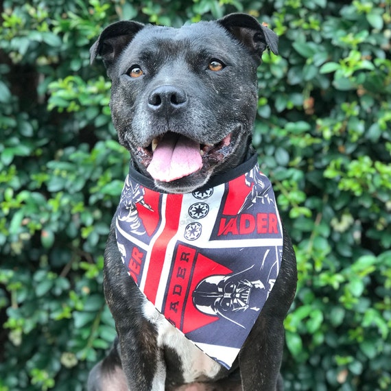 star wars dog bandana