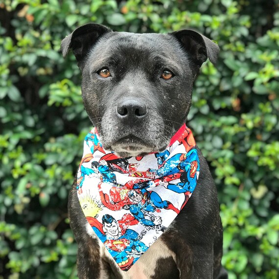 superhero dog bandana