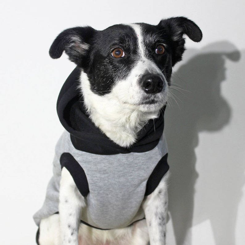 Rocky Hund Hoodie / grau Fleece Hund Hoodie / Hund Hoodies Etsy