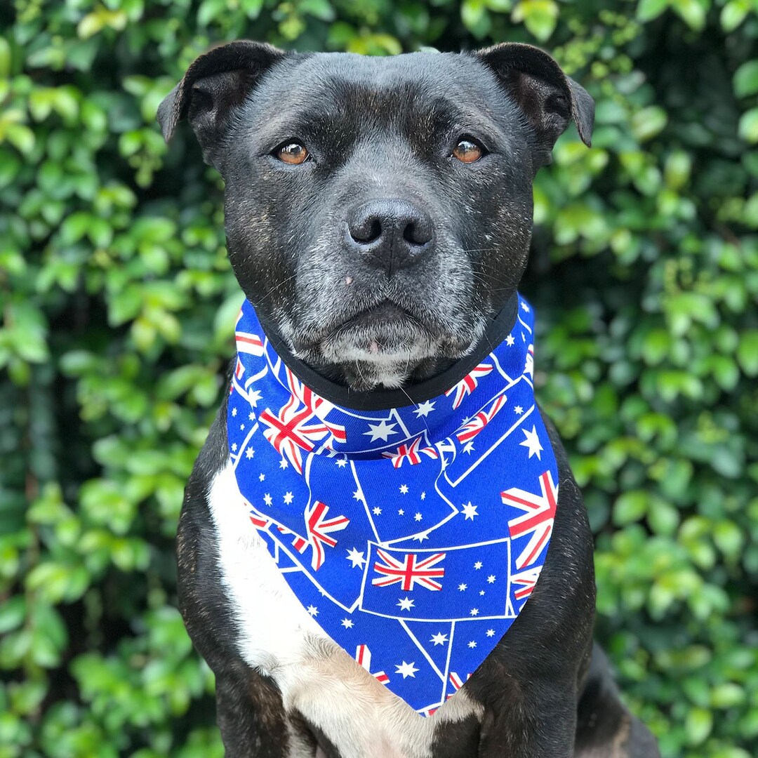 Home Among the Gum Trees Dog Bandana / Australian Flag Dog Etsy