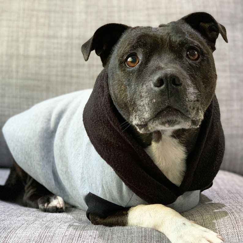 Rocky Hund Hoodie / grau Fleece Hund Hoodie / Hund Hoodies Etsy