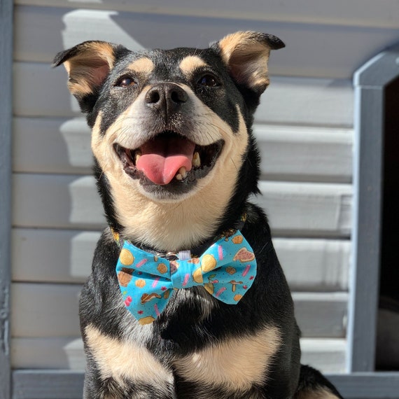 Bow Tie Dog Sweater