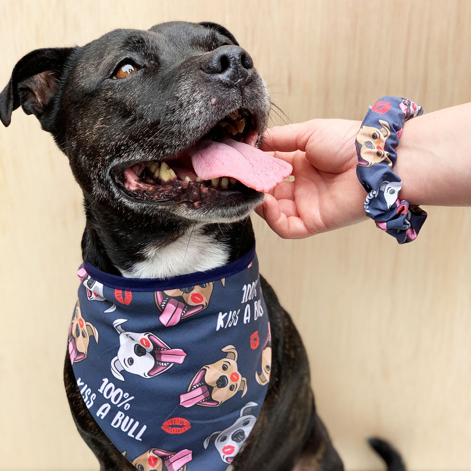 8 Staffy Gift Ideas For The Bully Lovers In Your Life 8 Staffy Gift Ideas For The Bully Lovers In Your Life
