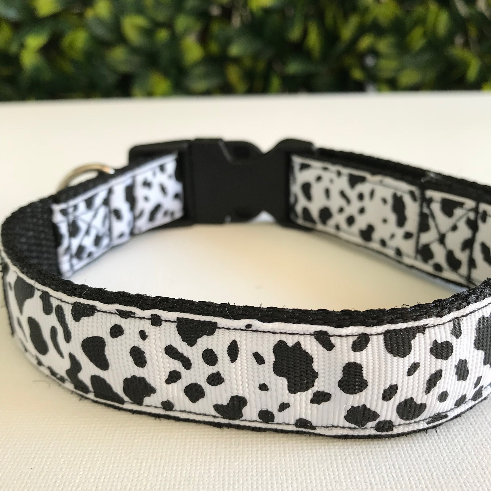 Cow Print Dog Collar / Dog Collars Australia Etsy