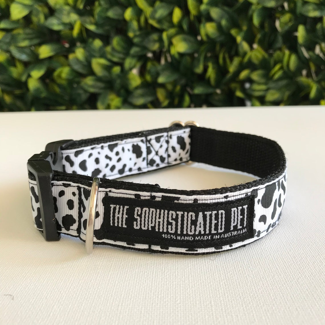 Cow Print Dog Collar / Dog Collars Australia Etsy