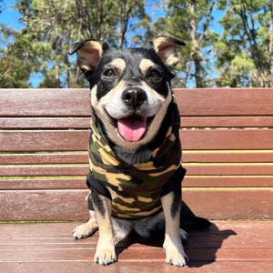 May include: A black and brown dog wearing a camouflage print sweater sits on a wooden bench. The dog is smiling and has its tongue sticking out.
