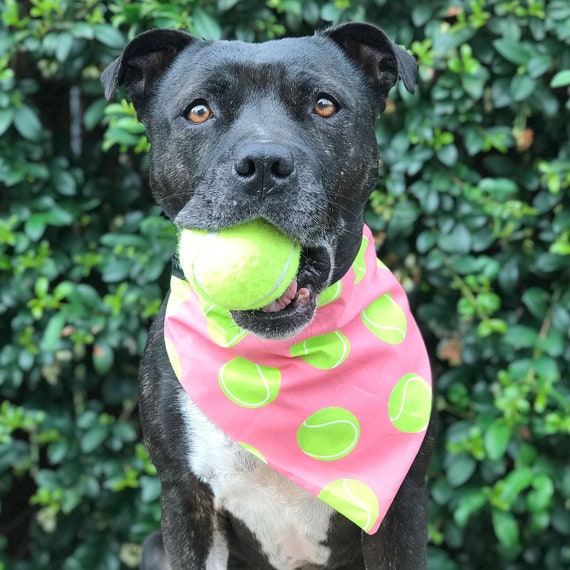Emoji dog clearance ball