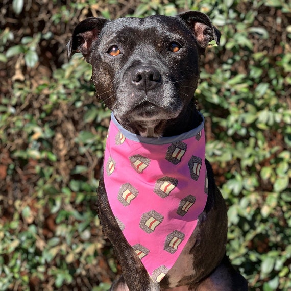 aussie bandana