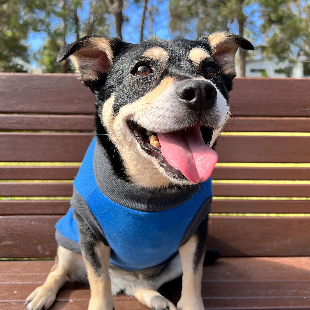 True Blue Dog Jacket / Dog Coat / Winter Dog Fleece Turtleneck Etsy