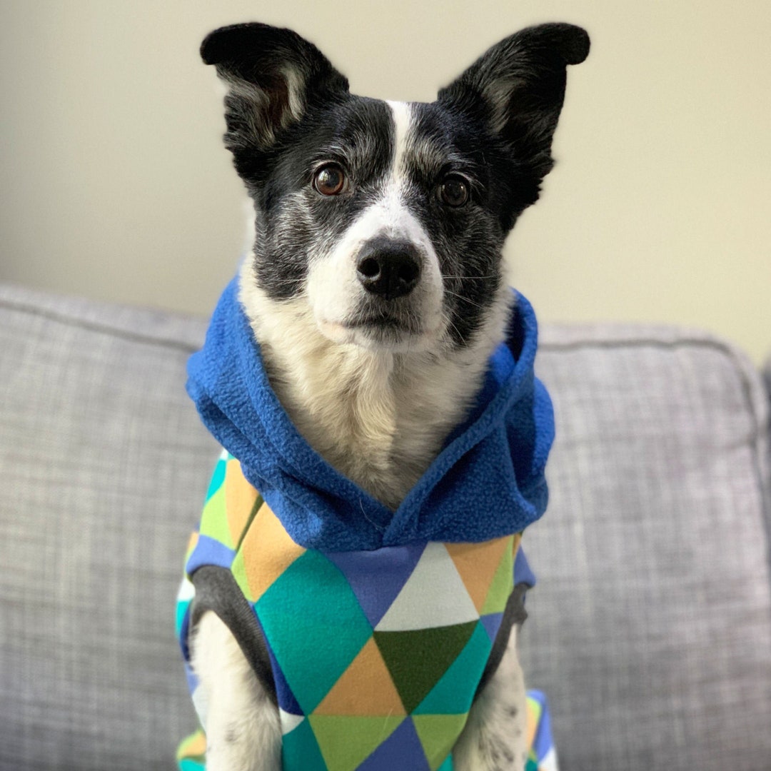 SILD Denim-Jumpsuit Für Hunde – Jeans-Overall Mit Kapuze, Blau, Für Kleine & Mittelgroße Hunde | Vintage-Look