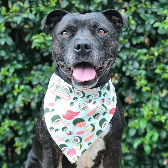 California Roll Dog Bandana Sushi Dog Bandana Dog Bandanas Etsy