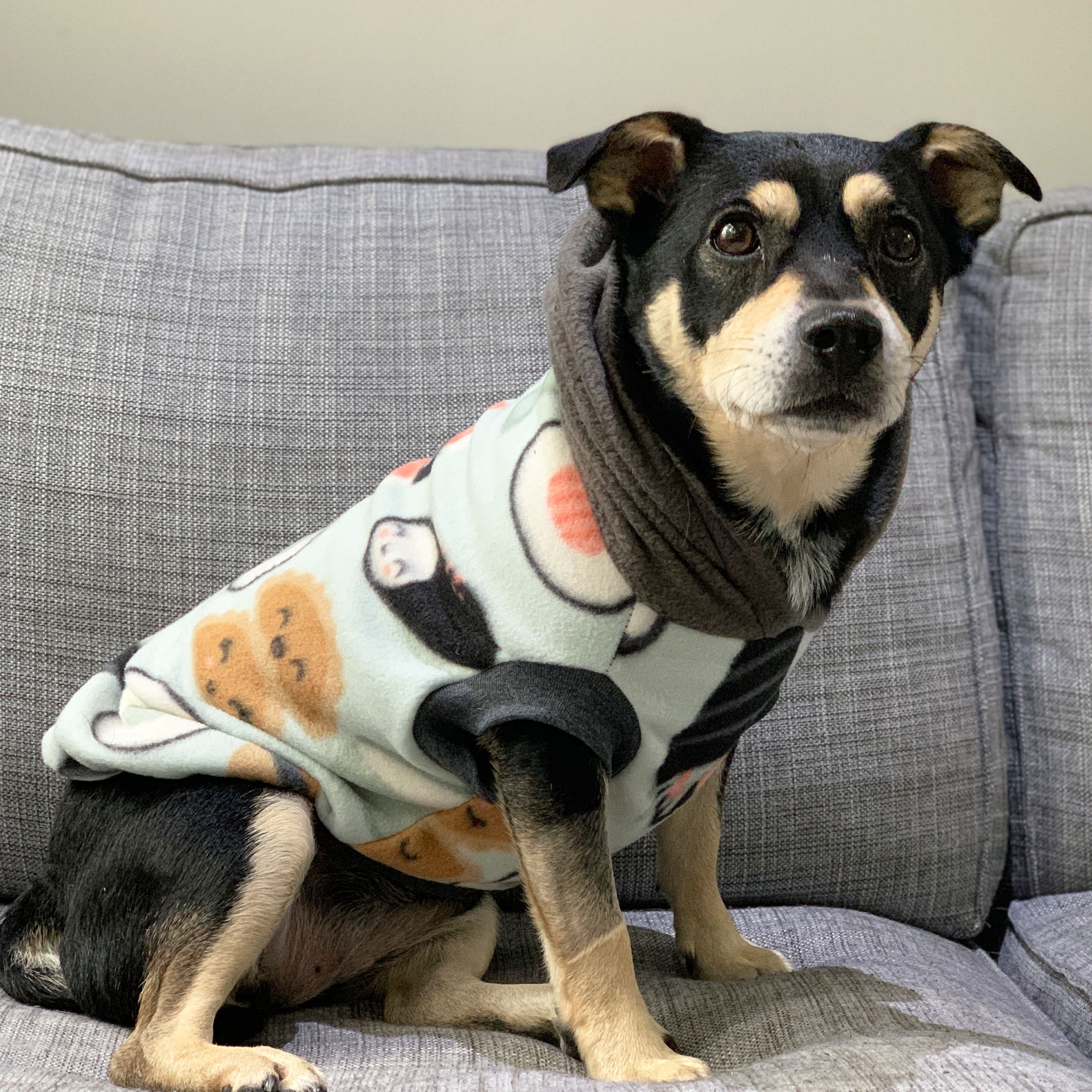 Sushi Zug Hunde Hoodie / Hunde Hoodies für Hunde / Fleece Etsy