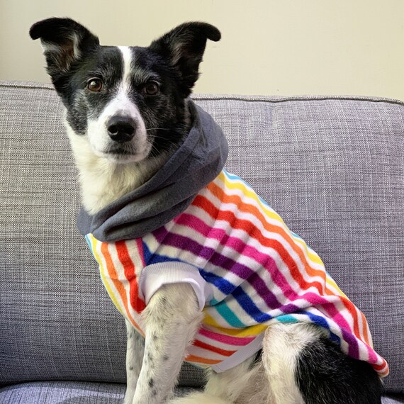 Pina Colada Dog Hoodie Dog Jacket Fleece Dog Jacket Etsy UK