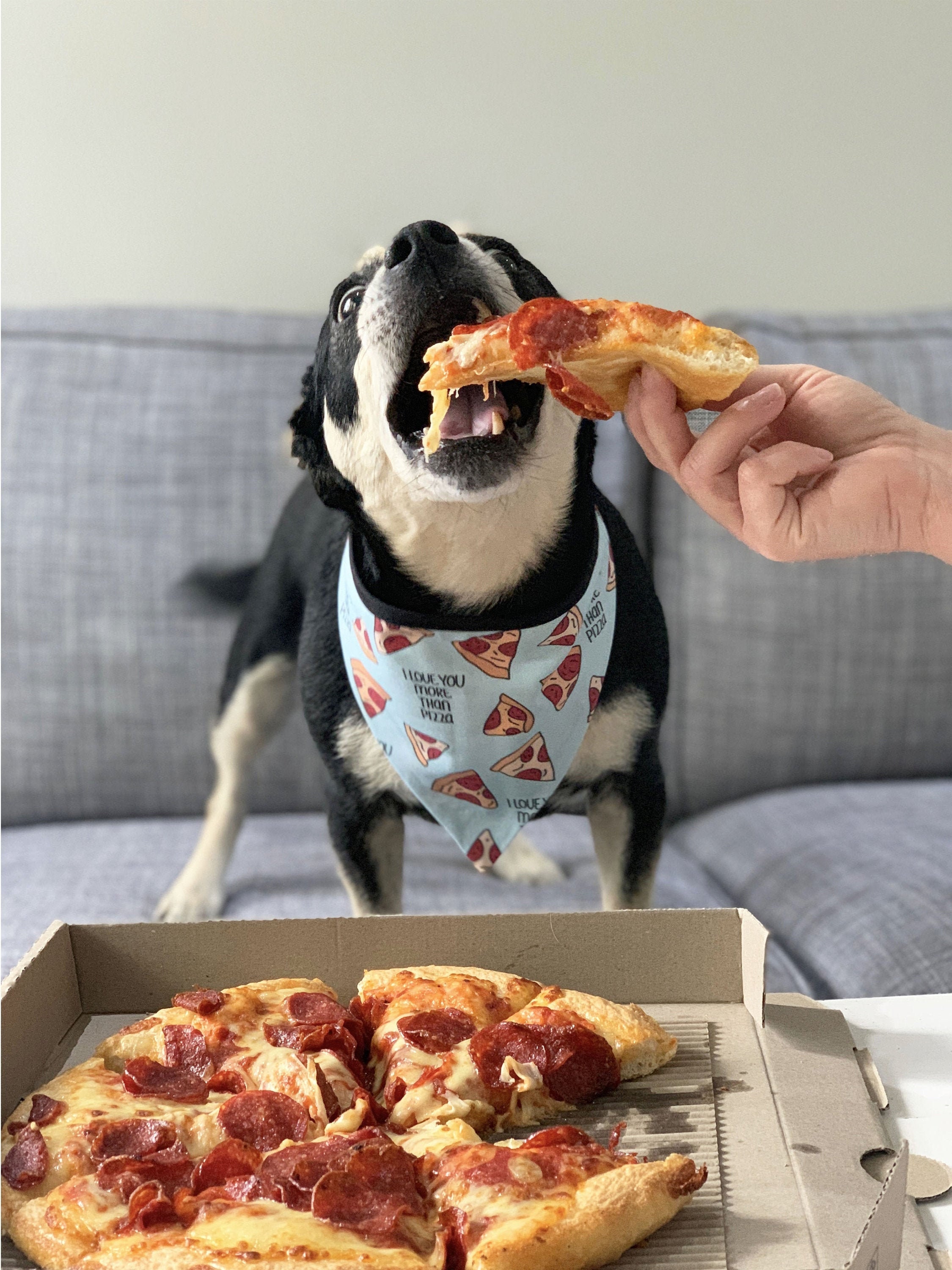 Ich liebe dich mehr als Pizza Hund Bandana / Pizza Bandana für Etsy