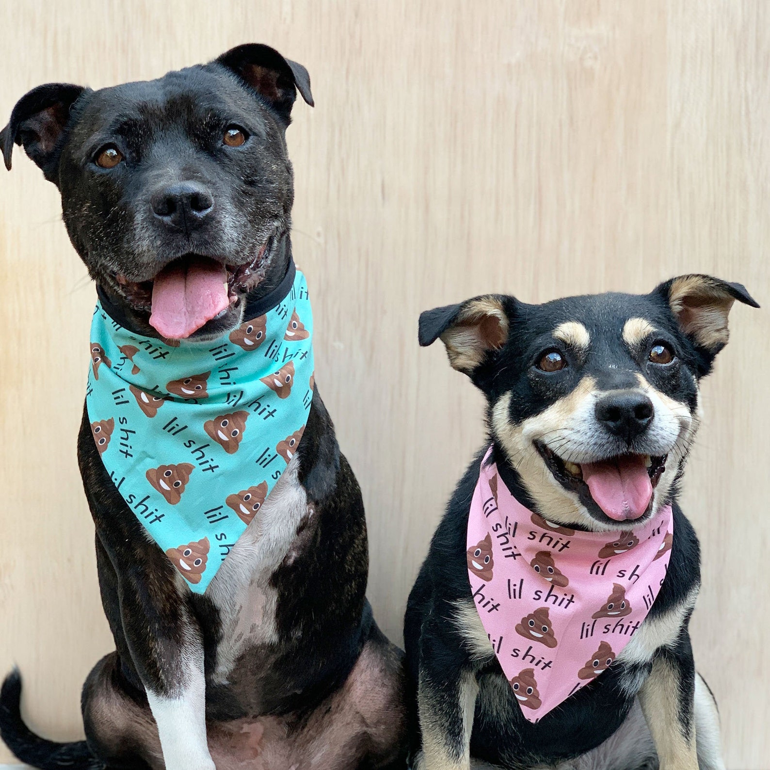 21 Cutest Dog Bandanas for Australian Dogs (Because Naked Necks Are Out)