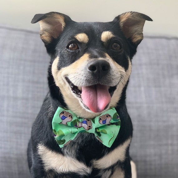 Dog bow ties etsy online