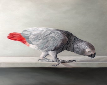 Perroquet gris d'Afrique curieux | Peinture à l'huile d'oiseau, impression d'art signée | Direct de l'artiste