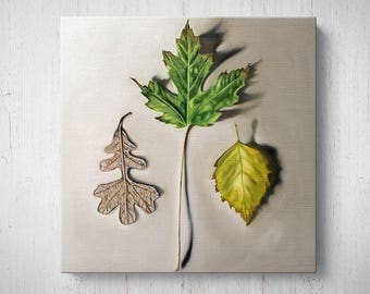 Autumn Leaf Trio - Fall Oil Painting Giclee Gallery Mounted Canvas Wall Art Print