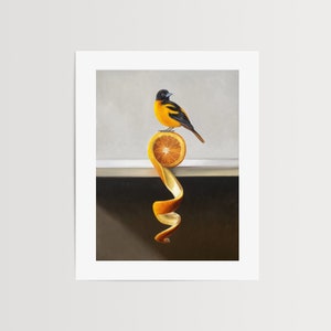 Orange Twist Oriole | Kitchen Fruit Oil Painting Signed Fine Art Print | Direct from Artist