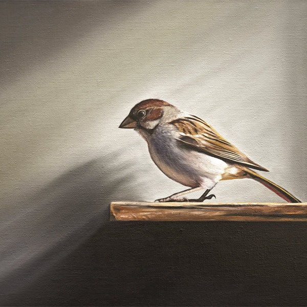 Sparrow | Bird Oil Painting Signed Fine Art Print | Direct from Artist