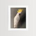 see more listings in the ART PRINTS | animals section