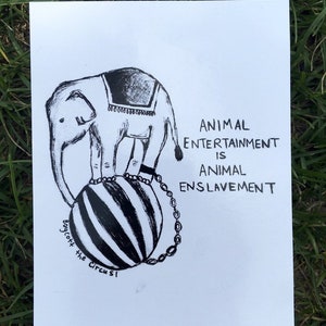 100 % recyclé Animal Entertainment est Animal esclavage carte postale Vegan Animal droits anti-Cirque