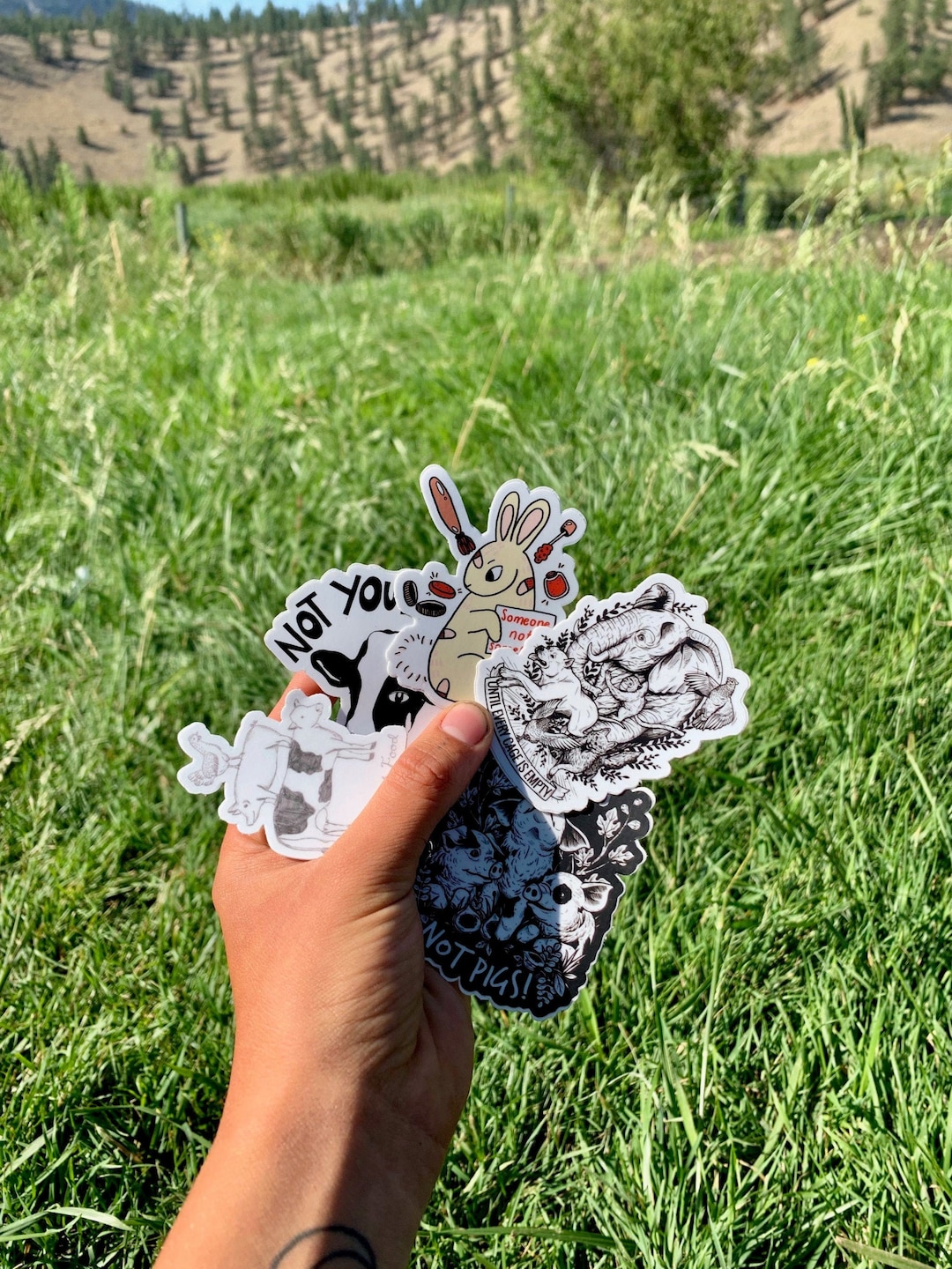 VEGAN STICKER PACK 10 Animal Rights Stickers 100 Etsy