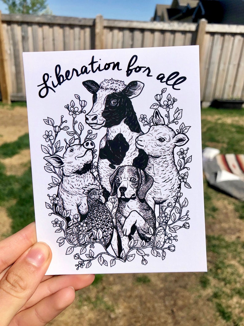 Liberation For All Postcard Vegan, Animal Rights, Friends Not Food, Vegetarian, Vegan Art, Vegan For The Animals, Animal Liberation image 1