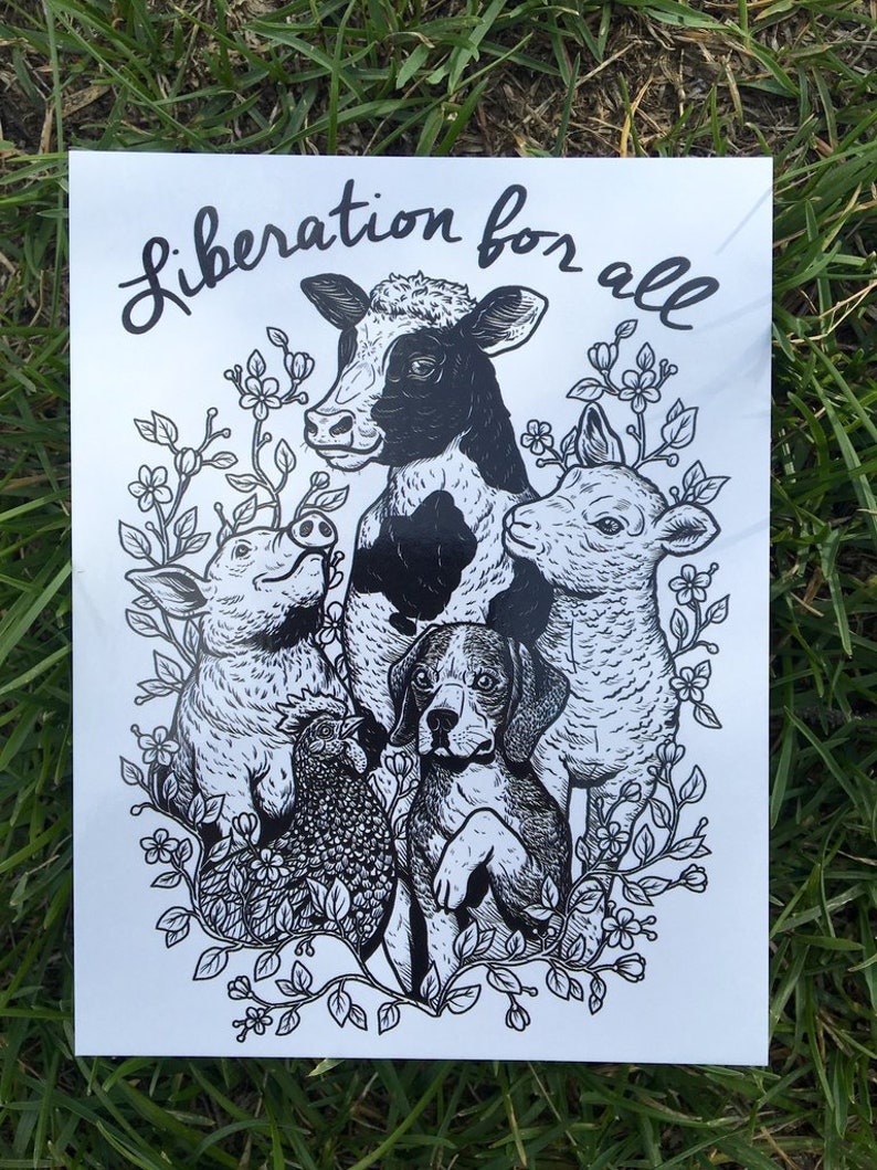 Liberation For All Postcard Vegan, Animal Rights, Friends Not Food, Vegetarian, Vegan Art, Vegan For The Animals, Animal Liberation image 2