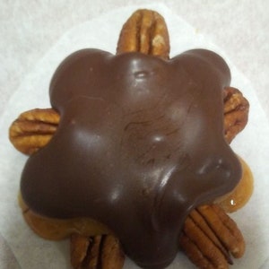 May include: A turtle-shaped confection with a dark chocolate coating and pecan "limbs." The candy sits on a white paper surface. The pecans are a light brown color, and the chocolate is a rich, dark brown.