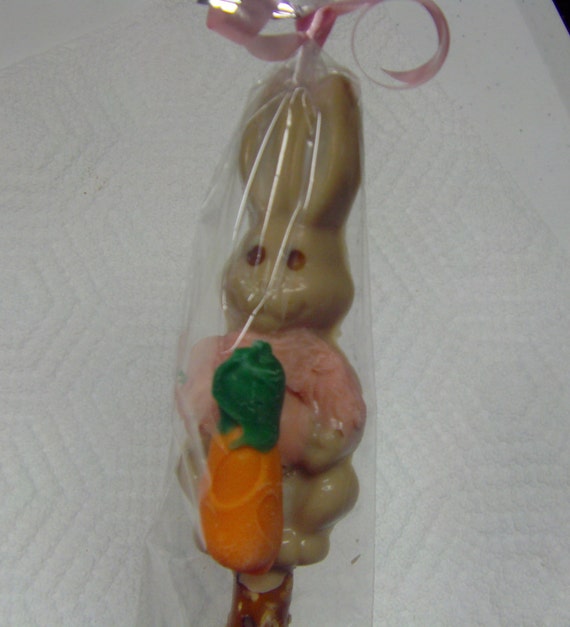 Peter Rabbit Girl Bunny Birthday/Some Bunny Is One/Baby Showers/First Birthday-Candy Covered Pretzels/Beatrix Potter (12) Il_570xn