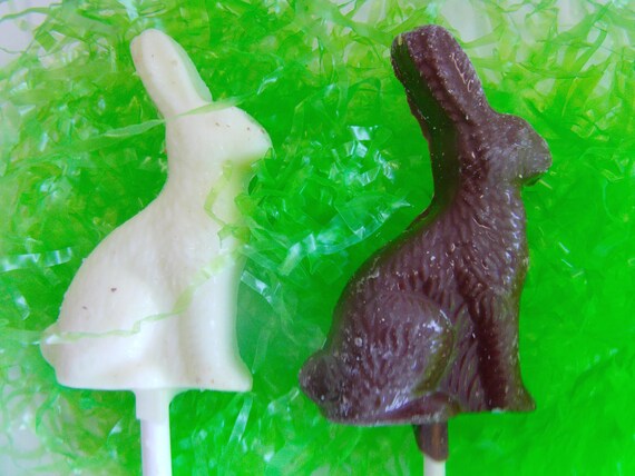 Traditonal Chocolate Easter Bunny Candy Lollipop-Easter Baskets/Easter GIfts/Parties/Bunny Parties/Some Bunny is 1 (12) Il_570xn
