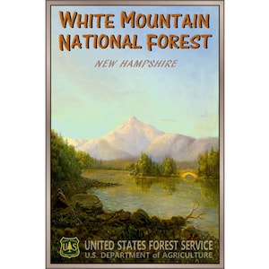 White Mountain National Forest Nuevo Original Travel Poster Albany Carroll County New Hampshire Retro Art Print 144